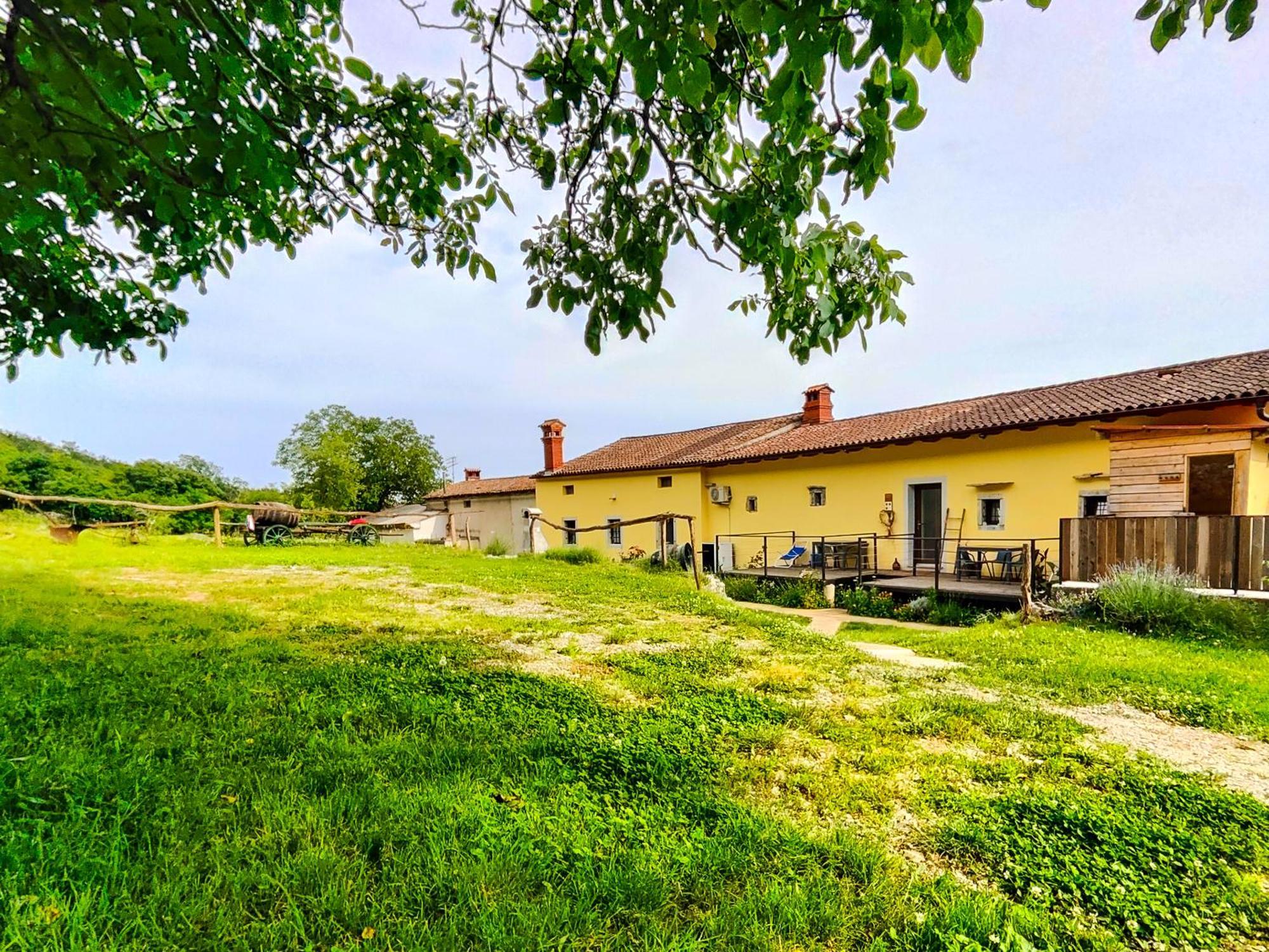Homestead Zavadlal - Domacija Zavadlal コメン エクステリア 写真